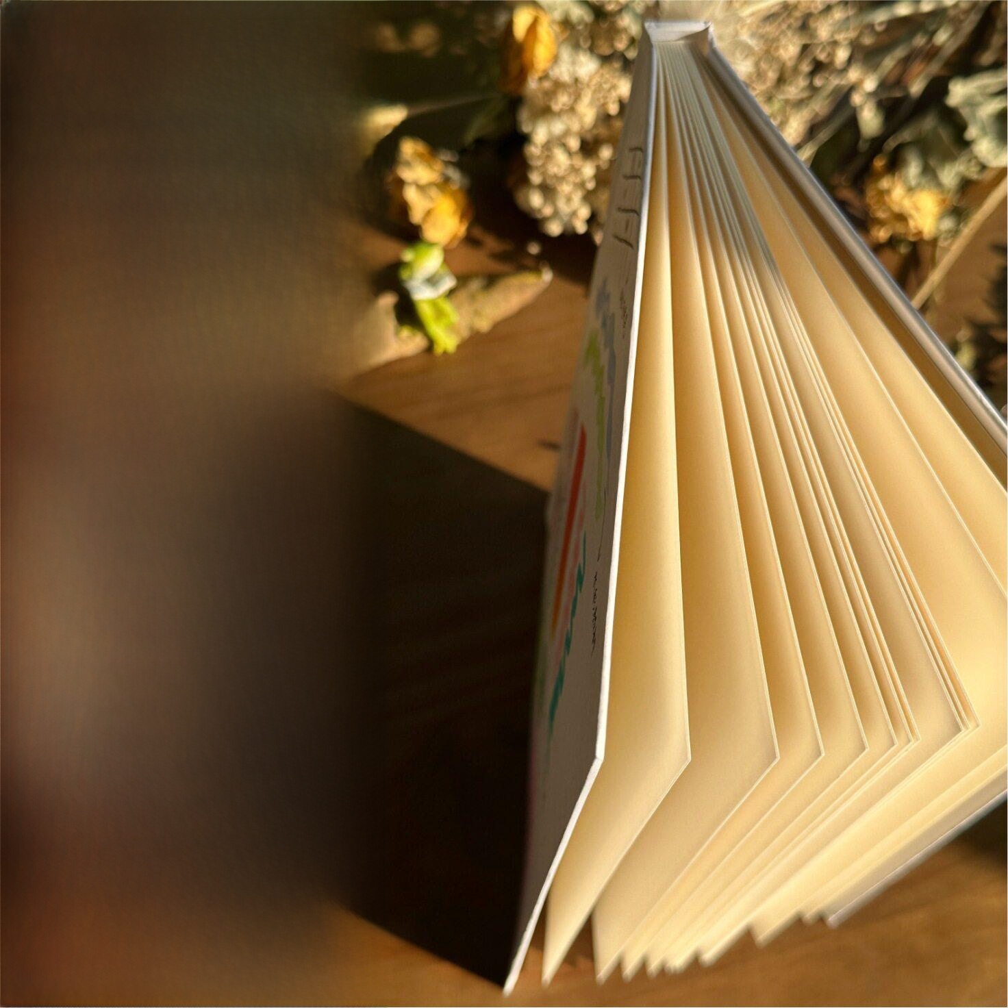Journal Leather Hardcover - Quaderno a Fisarmonica con Copertina Rigida